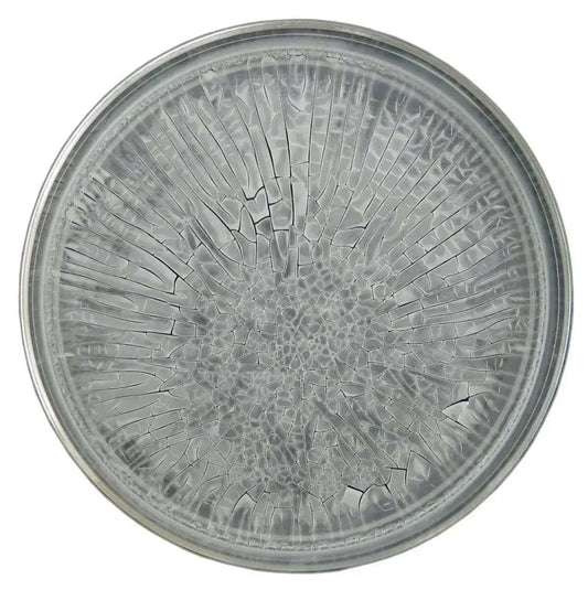 The Role of Polymer in Encapsulation Carpet Cleaning - ExcellentSupply.com