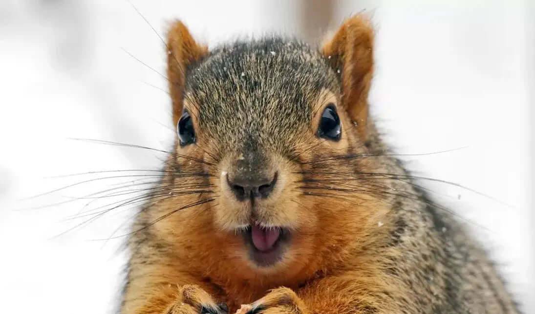 An Idea For Pricing Commercial carpet Cleaning - ExcellentSupply.com