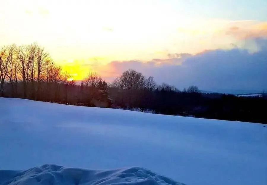 Winter Carpet Cleaning: How to maintain your carpet cleaning business - ExcellentSupply.com