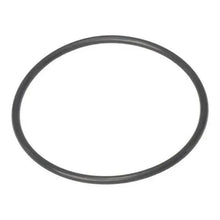 BrushMaster O-Ring G134