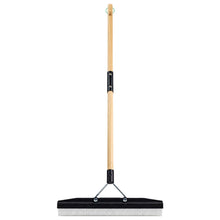 Pro Groom 18-Inch Carpet Rake (54-Inch Handle)