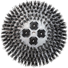 Tynex® abrasive brushes for 19" Cimex set of 3