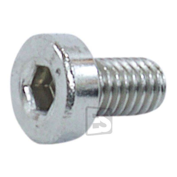 E/G77 Screw for protective plate
